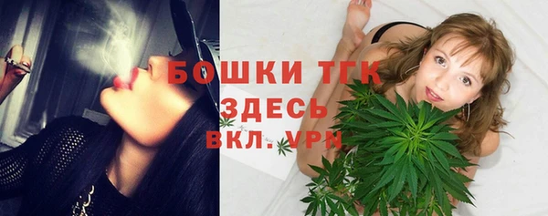 СК Зерноград