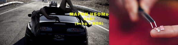 СК Зерноград