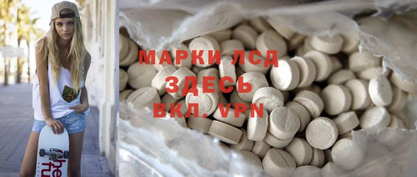 СК Зерноград