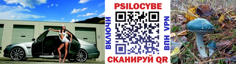 Псилоцибиновые грибы прущие грибы  Купить где  Нерюнгри 